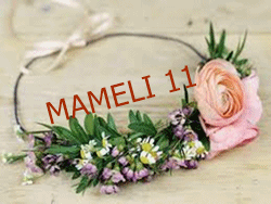 mameli11